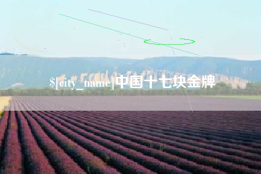 沙洋中国十七块金牌