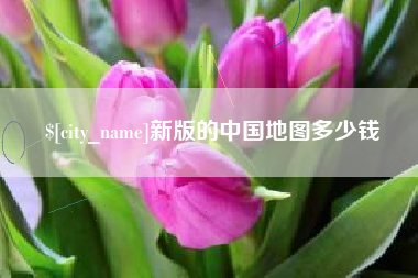 沙洋新版的中国地图多少钱