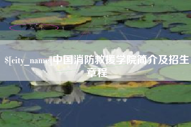 沙洋中国消防救援学院简介及招生章程