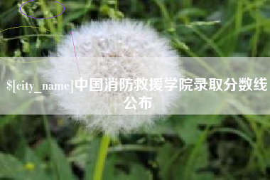 沙洋中国消防救援学院录取分数线公布