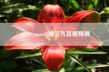 沙洋排三九宫图预测