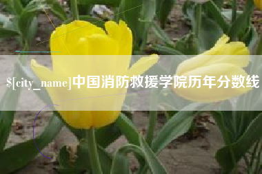 沙洋中国消防救援学院历年分数线
