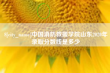 沙洋中国消防救援学院山东2020年录取分数线是多少
