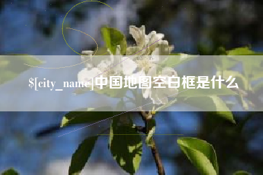 沙洋中国地图空白框是什么