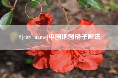 沙洋中国地图格子画法