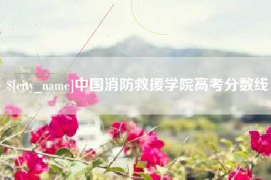沙洋中国消防救援学院高考分数线