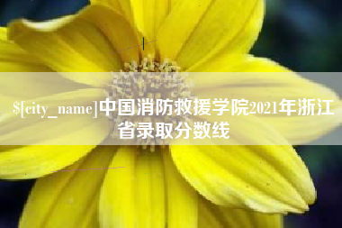 沙洋中国消防救援学院2021年浙江省录取分数线