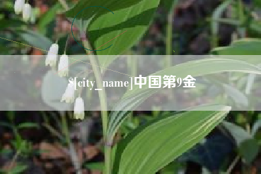 沙洋中国第9金
