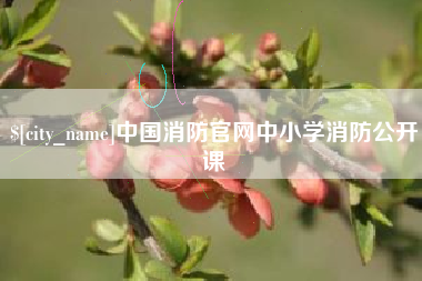 沙洋中国消防官网中小学消防公开课