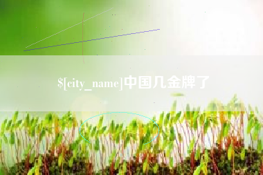 沙洋中国几金牌了