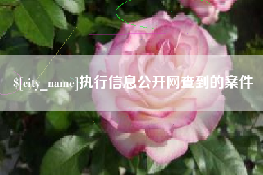 沙洋执行信息公开网查到的案件
