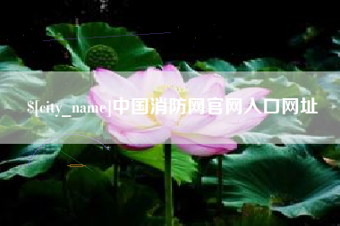 沙洋中国消防网官网入口网址