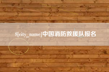 沙洋中国消防救援队报名