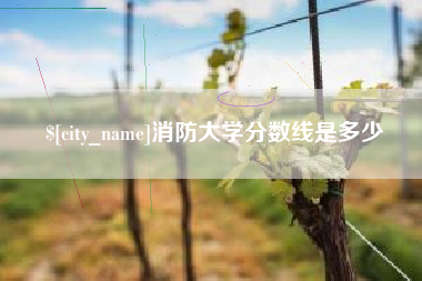沙洋消防大学分数线是多少