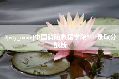沙洋中国消防救援学院2019录取分数线