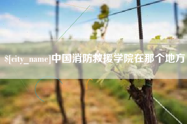 沙洋中国消防救援学院在那个地方