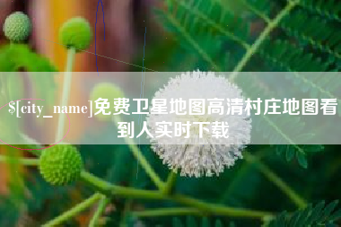 沙洋免费卫星地图高清村庄地图看到人实时下载