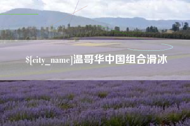 沙洋温哥华中国组合滑冰