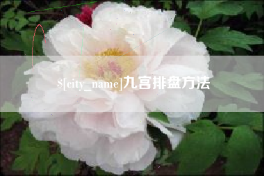 沙洋九宫排盘方法
