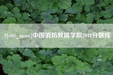 沙洋中国消防救援学院2018分数线