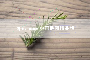 沙洋中国地图精准版