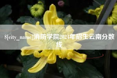 沙洋消防学院2024年招生云南分数线
