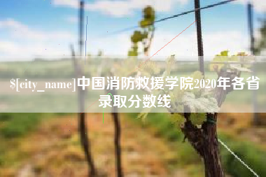 沙洋中国消防救援学院2020年各省录取分数线