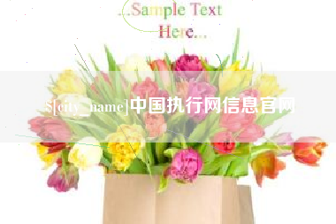 沙洋中国执行网信息官网