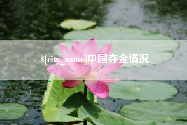 沙洋中国夺金情况
