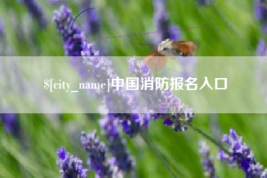 沙洋中国消防报名入口