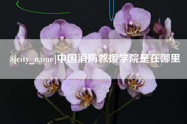 沙洋中国消防救援学院是在哪里