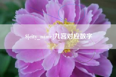 沙洋九宫对应数字