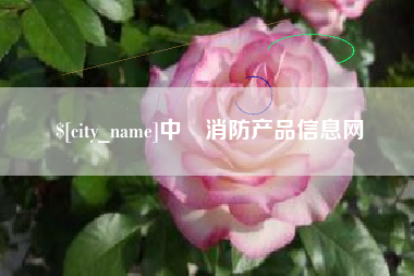 沙洋中囯消防产品信息网