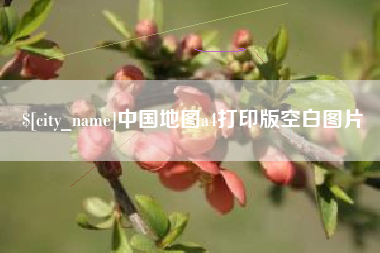 沙洋中国地图a4打印版空白图片