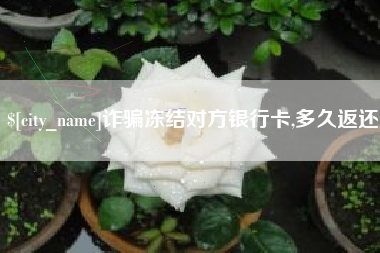 沙洋诈骗冻结对方银行卡,多久返还