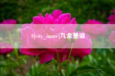 沙洋九金是谁