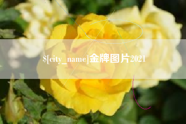 沙洋金牌图片2021