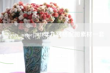 沙洋2021年九宫格配图素材一套