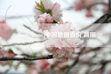 沙洋中国地图省份 简图