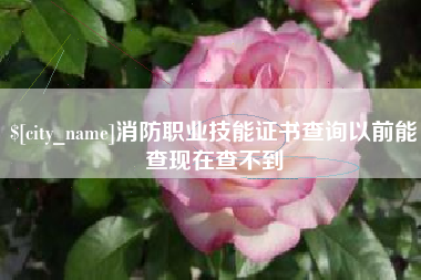 沙洋消防职业技能证书查询以前能查现在查不到