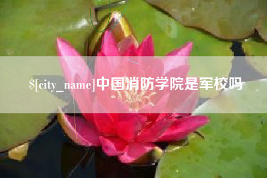 沙洋中国消防学院是军校吗