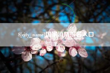 沙洋国家消防报名入口