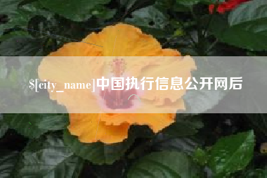 沙洋中国执行信息公开网后