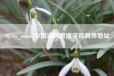 沙洋中国消防救援学院具体地址