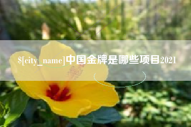沙洋中国金牌是哪些项目2021
