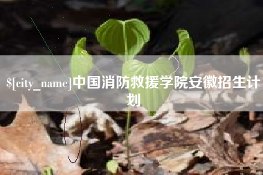 沙洋中国消防救援学院安徽招生计划