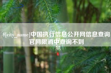 沙洋中国执行信息公开网信息查询官网限消中查询不到