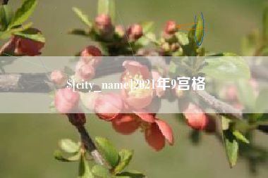 沙洋2021年9宫格