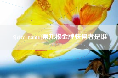 沙洋第九枚金牌获得者是谁