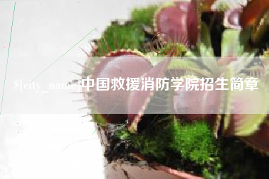 沙洋中国救援消防学院招生简章